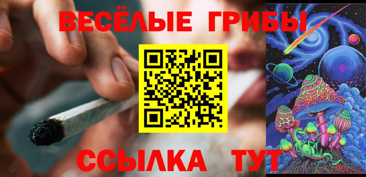Псилоцибиновые грибы Psilocybine cubensis  Псилоцибиновые грибы мухоморы  Вход с VPN  Верхняя Салда 